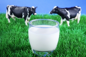 cow-milk-allergy